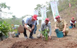 Astra Honda Motor Bangun Lingkungan dengan Program 1.000 Pohon Buah Langka - JPNN.com