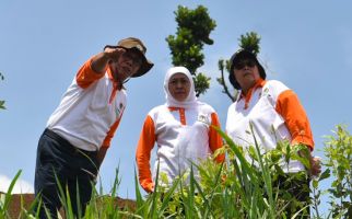 Pulihkan DAS, Menteri Siti Minta Warga Tak Buang Sampah Popok di Sungai - JPNN.com