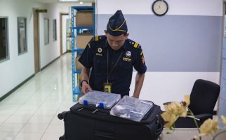 Bea Cukai Soekarno Hatta Gagalkan Penyelundupan 16 Ekor Kadal - JPNN.com