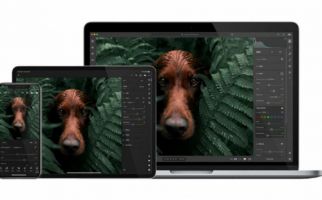Kini Aplikasi Adobe Lightroom Dibuat Lebih Praktis, Simak Pembaruannya - JPNN.com