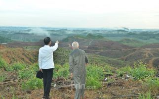 IKN Nusantara Bakal Jadi Percontohan Karena Terapkan Forest City - JPNN.com