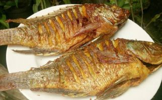 Ini Alasan Mengapa Anda Perlu Membatasi Konsumsi Ikan Bakar Saat Rayakan Tahun Baru - JPNN.com