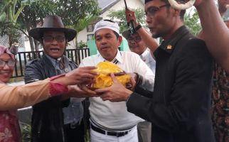 Komisi IV DPR Dukung Kementan Kembangkan Ternak Unggul Sapi Aceh - JPNN.com