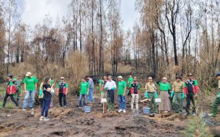 Ratusan Cemara Pulihkan Lahan di Kawasan Gunung Ijen - JPNN.com