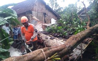 Angin Kencang Merusak Belasan Rumah di Jember - JPNN.com