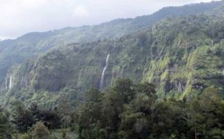 Cianjur Punya Cagar Alam Gunung Simpang yang Masih 'Perawan' - JPNN.com