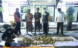 Polisi Bongkar Praktik Penjualan Bangkai Ayam di Blitar - JPNN.com
