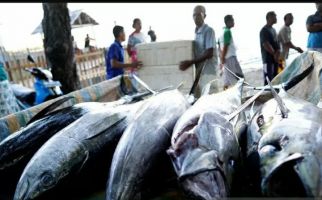 Ekspor Ikan Tuna dari Gorontalo Melonjak - JPNN.com