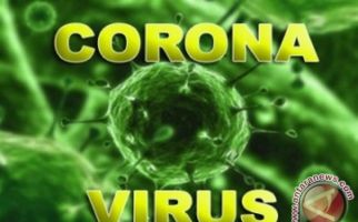 Virus Corona Tiongkok Telah Menyebar ke Jepang - JPNN.com