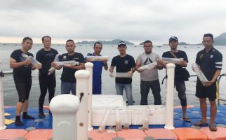 Hima Persis Apresiasi KKP dan Desak Tangkap Mafia Benih Lobster - JPNN.com