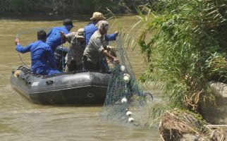 Buaya Berkalung Ban Masih Berkeliaran - JPNN.com