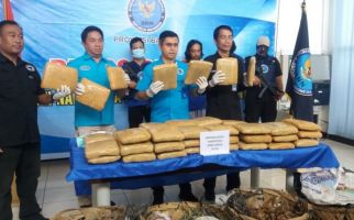 50 Kilogram Ganja dari Aceh Dikirim ke Banten, Siapa Pemesannya? - JPNN.com