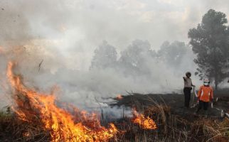 Karhutla di Riau Meluas, Tersangka Pembakaran Baru 21 Orang - JPNN.com