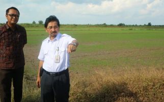 KUR Pertanian Demi Mewujudkan Lumbung Pangan Indonesia - JPNN.com