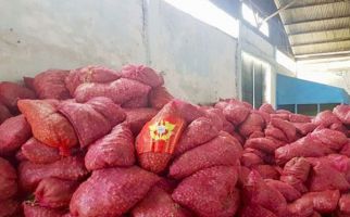 Bea Cukai Gagalkan Penyelundupan 18 Ton Bawang Merah Asal Thailand - JPNN.com