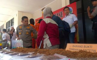 Kasus Tembakau Sintetis 37,5 Kg Mandek, Forza Satroni Polres Jaksel - JPNN.com
