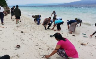 Ikan-ikan Hidup Terdampar di Pantai, Khawatir Sebagai Pertanda Gempa - JPNN.com