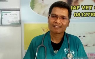 Musim Pancaroba, Ada 15 Zoonosis, Waspadai Jenis Hewan Berikut Ini - JPNN.com