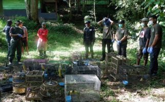 56 Burung Dilindungi Dilepasliarkan di TNBBS Lampung - JPNN.com