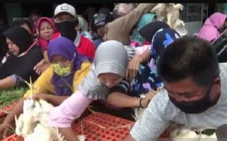 Gegara Kesal, Peternak Bagi-Bagi Ribuan Ekor Ayam Gratis di Pasar - JPNN.com