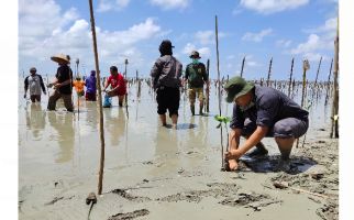 Pandemi Corona, Penyelamatan Mangrove Taman Nasional Way Kambas Tetap Berjalan - JPNN.com