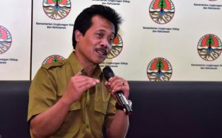 Ini Laporan tentang Hutan dan Deforestasi Indonesia Tahun 2019 - JPNN.com