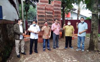 Peternak Mandiri Apresiasi Langkah Pembelian Ayam Hidup di 6 Provinsi - JPNN.com
