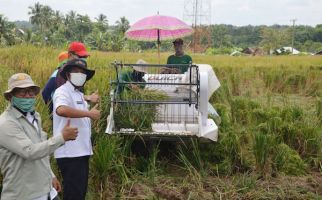 Penyuluh Lampung Tetap Dampingi Petani Panen di Tengah Pandemi COVID-19 - JPNN.com