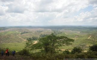 Fantastis, Harga Tanah di Sekitar Lokasi IKN Sekarang Sudah Sebegini - JPNN.com