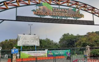 Taman Margasatwa Ragunan Perpanjang Kebijakan Pengunjung ber-KTP DKI, Nih Tanggalnya - JPNN.com