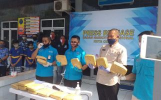 Pengiriman 15 Kg Ganja Digagalkan BNN Cilegon - JPNN.com