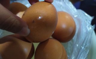 Daging dan Telur Dijamin Tersedia Hingga Tiga Bulan ke Depan - JPNN.com