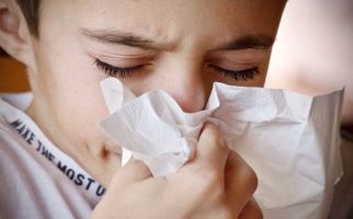 Hidung Berair, Akibat Sinusitis atau Alergi? - JPNN.com