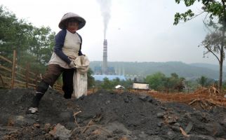 Pupuk Batu Bara Asal Indonesia Dapat Pengakuan di Amerika - JPNN.com
