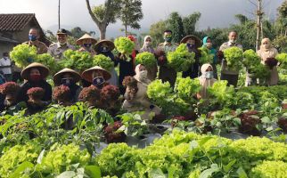 KWT Binama Manfaatkan Lahan Pekarangan Tanam Sayuran Berkualitas - JPNN.com