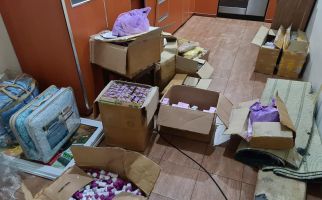 Sinergi Bea Cukai dan BPOM Ungkap Peredaran Kosmetik Ilegal dari Malaysia - JPNN.com