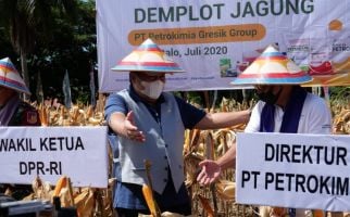 Petrokimia Gresik Genjot Produktivitas Pertanian di Gorontalo, Hasilnya Memuaskan - JPNN.com