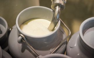 Waspada! Minum Susu Sapi Mentah Bisa Menimbulkan Penyakit, Ini Penjelasannya - JPNN.com