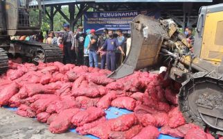 Bea Cukai Kuala Langsa Musnahkan 2,06 Ton Bawang Merah Ilegal - JPNN.com