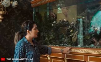 Ashanty Melongo Lihat Akuarium di Rumah Inul, Harganya Fantastis - JPNN.com
