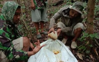 Kabar Gembira Dari Petani Madu Hutan di Makassar - JPNN.com