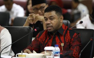 Pansus DPD RI Ungkap Empat Persoalan Pokok di Tanah Papua - JPNN.com