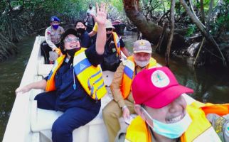 Menteri Siti Mengunjungi Kawasan Hutan Sosial di Bangka Belitung - JPNN.com