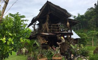 Rumah Akar, Spot Wisata Baru di Ranah Minang - JPNN.com