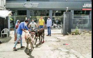 Kesal Lantaran Motor Sering Mati, Pria Ini Bawa Dua Ekor Keledai ke Dealer - JPNN.com