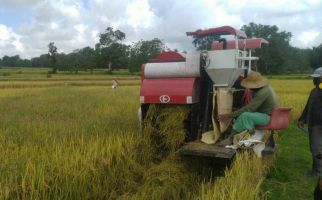 PDB Pertanian Melesat Positif di Triwulan II - JPNN.com