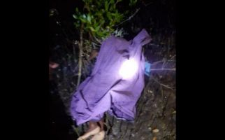 Siswa SD Ditemukan Tersangkut di Pohon Bakau, Kondisinya Mengenaskan Begini - JPNN.com