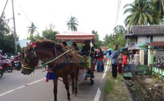 Kuda Sedang Sakit Dipaksa Menarik Delman, Tiba-tiba Mati di Istana Bogor, Teganya - JPNN.com