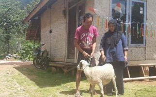 Yn Tidak Punya Uang, Biaya Perbaiki kWh Rusak Diganti Seekor Domba, PLN Bilang Begini - JPNN.com