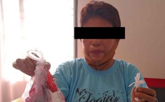 Mbak Ellya Nekat Bawa Pasta Gigi Berisi Barang Terlarang ke Lapas, Oh Ternyata Pesanan Sang Adik - JPNN.com